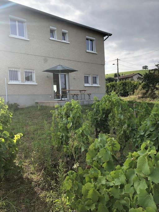 Petit Gite De Javernieres Rez De Jardin Villié-Morgon 외부 사진